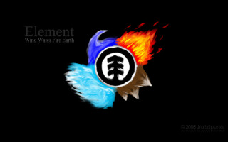 Bird flame logo element design - a flame free wallpaper