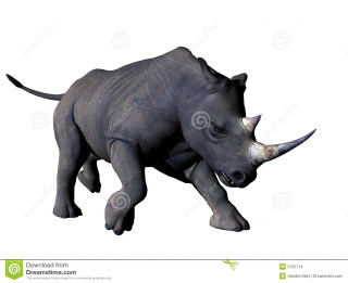 Rhinoceros jumping head down tail - andrew robertson free wallpaper