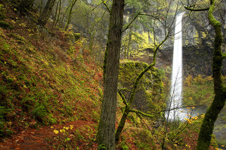 Waterfall woods bench trees leaves - a bench in front free wallpaper