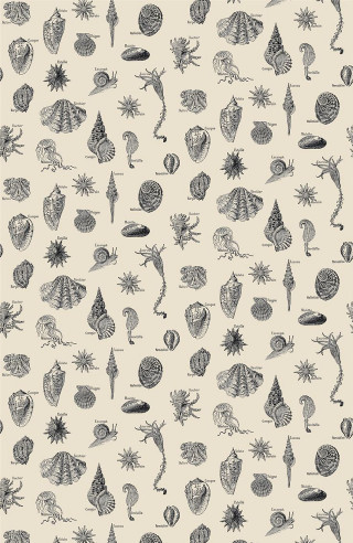 Sea animals pattern white background - black ink free wallpaper