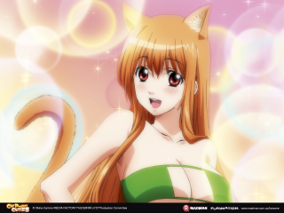 Anime girl long hair cat - bubble free wallpaper for desktop