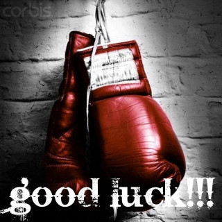 Red boxing gloves brick wall - free sports wallpaper for tablet