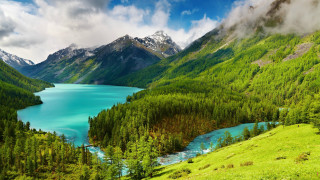 Mountain lake green trees cloudy 2 - green tree free wallpaper