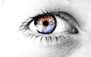 Close up blue brown eye - realistic free wallpaper