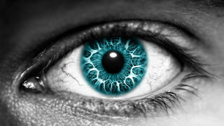 Close up person eye blue - realistic eye free wallpaper