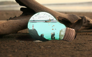 Light bulb beach branch ocean - sandy free wallpaper