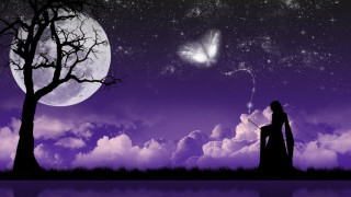 Woman tree butterfly night sky - the night sky free wallpaper