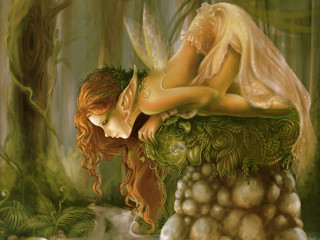 Fairy sleeping mushroom forest illustration - a mushroom free wallpaper