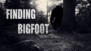 Finding bigfoot black and white - footage free wallpaper