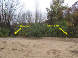 Clear main sand signature autumn - the sand free wallpaper for desktop