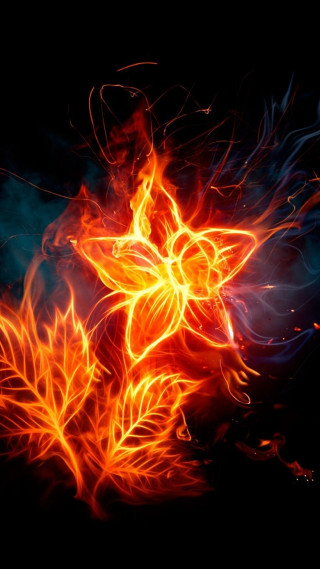 Fire flower bright orange red - flame free wallpaper for mobile