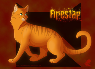 Cartoon cat fire star chest - a cartoon cat free wallpaper