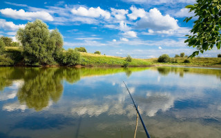 Fishing rod water tree grassy - free summer wallpaper