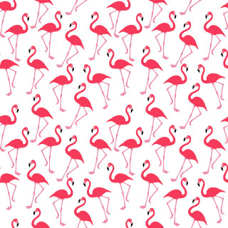 Flamingos flock standing white background - kitsch movement free wallpaper for tablet