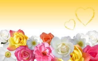 Flowers heart background yellow - the back of its free wallpaper