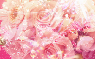 Bouquet bubbles sparkles pink background - a bouquet of flowers free wallpaper