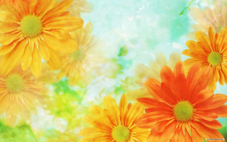 Orange yellow flowers green blue - ammi phillips free wallpaper