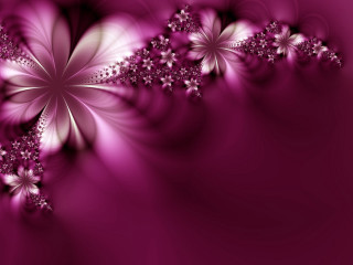Purple background flowers side white 2 - a white flower free wallpaper