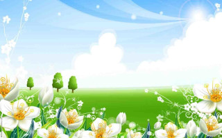 Flower field white flowers green - white flower free wallpaper
