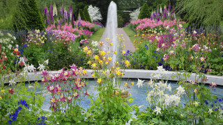Fountain surrounded by flowers and - flower and trees free wallpaper