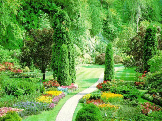 Garden path flowers trees lining - lot of flowers free wallpaper
