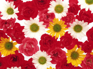 Flowers tablecloth red bunch vibrant - a tablecloth free wallpaper