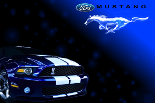 Mustang car logo front side - the front free wallpaper for desktop
