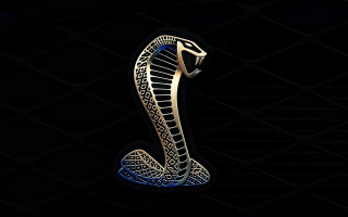 Gold cobra emblem black blue - 4 k hd wallpaper free wallpaper