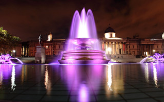Fountain purple lights building night - interactive free wallpaper