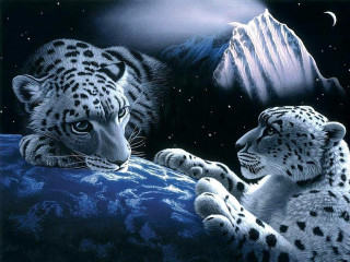 Snow leopards rock night sky - the night sky free wallpaper