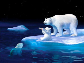 Polar bear cub iceberg water - an iceberg free wallpaper
