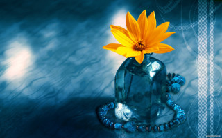 Yellow flower blue vase table - a yellow flower free wallpaper