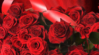 Red roses ribbon heart bouquet - a red heart free wallpaper