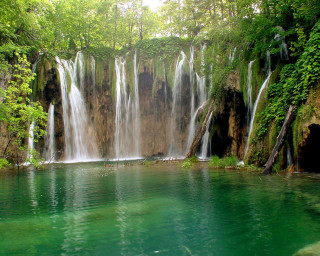 Waterfall pool forest surrounding body - cao buxing free wallpaper for desktop