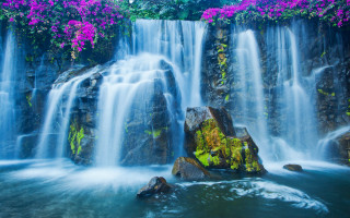 Waterfall purple flowers rock water - a waterfall in the background free wallpaper for desktop