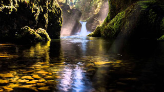 River flowing lush forest rocks - a lush green forest free wallpaper for desktop