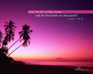 Sunset palm trees bible verse - dionisiu free wallpaper