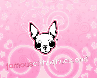 Pink background dog face stars - famous free wallpaper