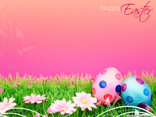 Pink blue easter egg grass - edi rama free wallpaper