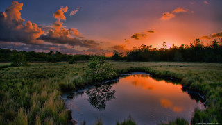 Sunset small pond grassy field - tree and grass free wallpaper for desktop