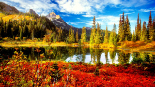 Mountain lake forest autumn sunset - a painting of a mountain lake free wallpaper