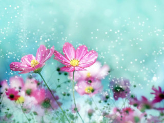 Pink flowers field blue sky 2 - a painting free wallpaper