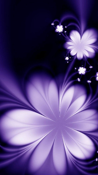 Purple flower white petals black 2 - abstract art free wallpaper for mobile