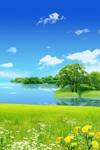 Green field flowers trees lake - free spring wallpaper for mobile