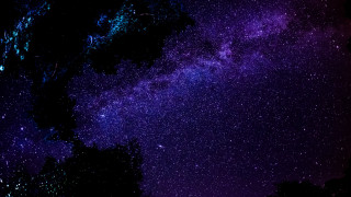Night sky purple blue trees - a few star free wallpaper