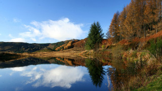 Lake hill trees blue sky - tree and a hill in the background free wallpaper