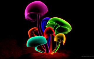 Glowing mushrooms dark background red 2 - mushroom free wallpaper