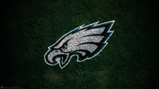 Eagles green field birds tiltshift - darrell riche free wallpaper