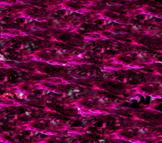 Colorful background small objects white - microscopic free wallpaper for tablet