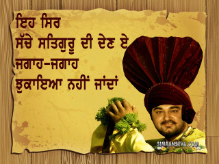 Man turban holding green plant - best free wallpaper
